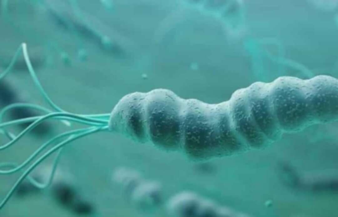 جرثومة المعدة أو Helicobacter pylori ما الذي تعرفه عنها