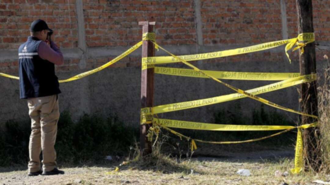 29 bodies unearthed from Mexican mass grave