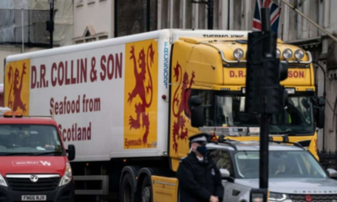 Seafood lorries travel to Westminster for protest against Brexit red tape