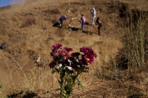 Flowers are placed in honor of Kobe Bryant, Tuesday, Jan. 26, 2021, in Calabasas, Calif., at the site of a helicopter crash that killed Bryant, his daughter Gianna, and seven others one year ago. (AP)