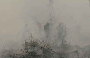 Firefighters spray water to extinguish a forest fire in Kampar, Riau province, Indonesia, Monday, Sept. 23, 2019. (AP)