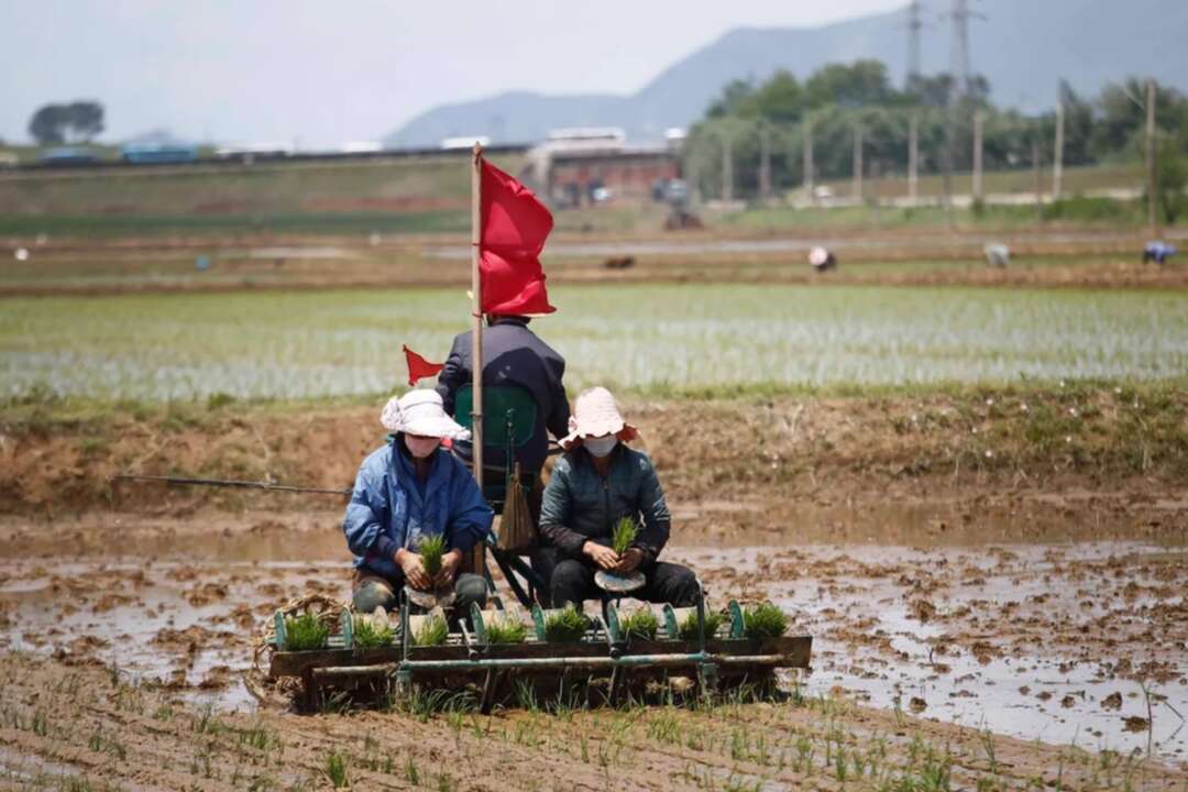 North Korea may suffer food shortages, Kim Jong Un warns