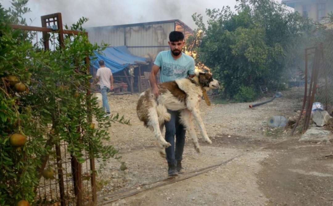 3 dead and 58 hospitalized as wildfire rages across southern Turkey