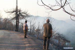 Fires in Lebanon