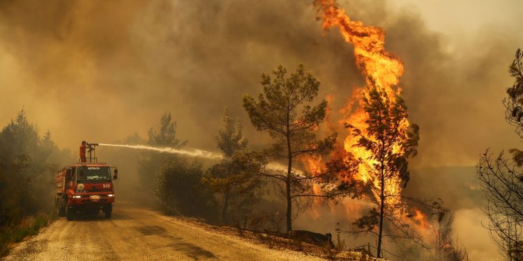 Turkey wildfires