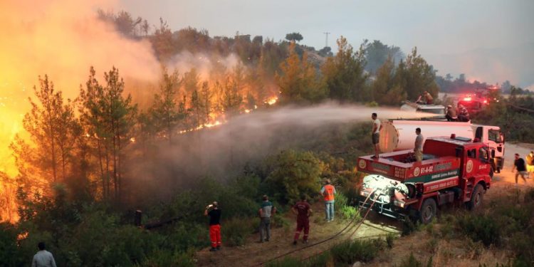 Wildfires in Turkey 