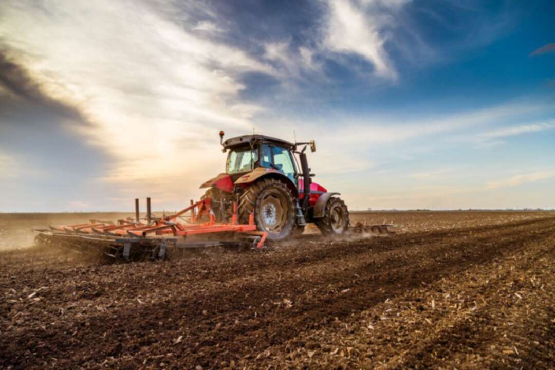 Tunisian farmers turn to past by planting indigenous seeds to resist climate change