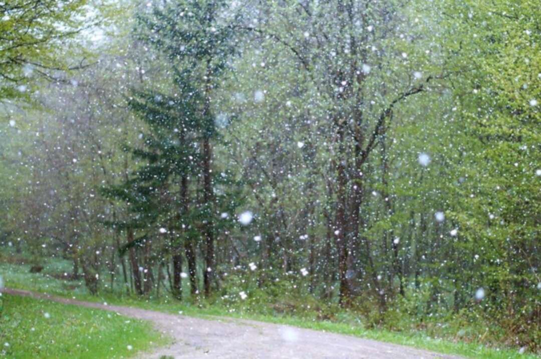 Devastating hailstorm leave thousands without power in South Australia