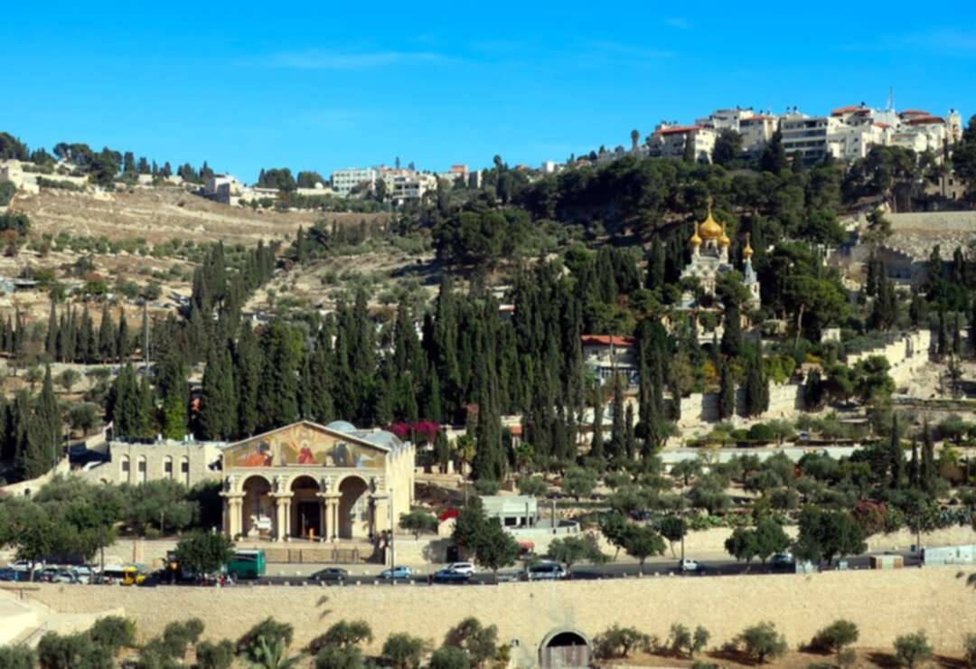 Palestinian family protests east Jerusalem home eviction