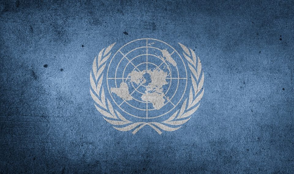 United Nations-Flag/Pixabay