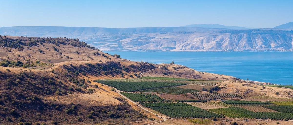 هضبة الجولان / أرشيفية