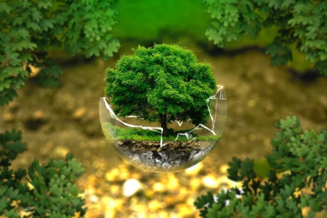 Environmental protection-Climate change (File photo: Pixabay)