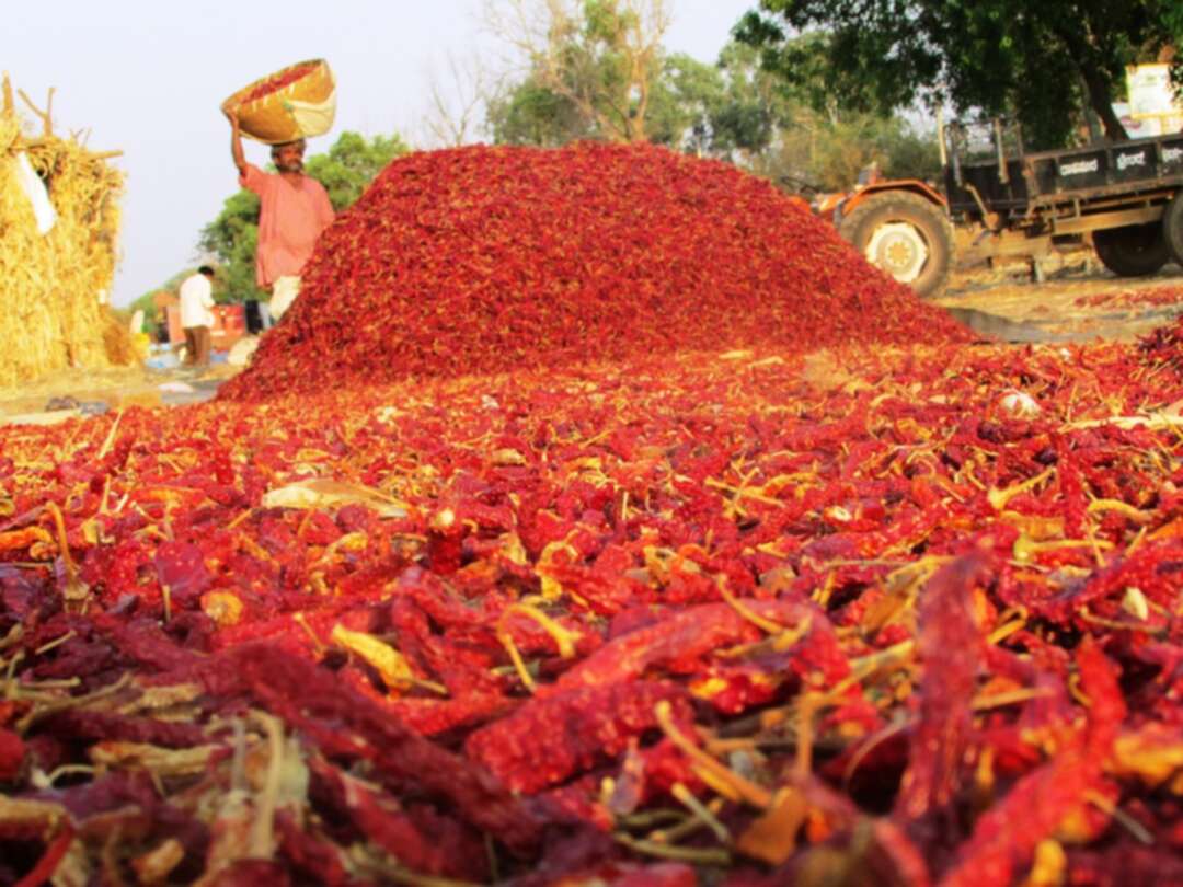 India organize rallies to raise public awareness about malnutrition