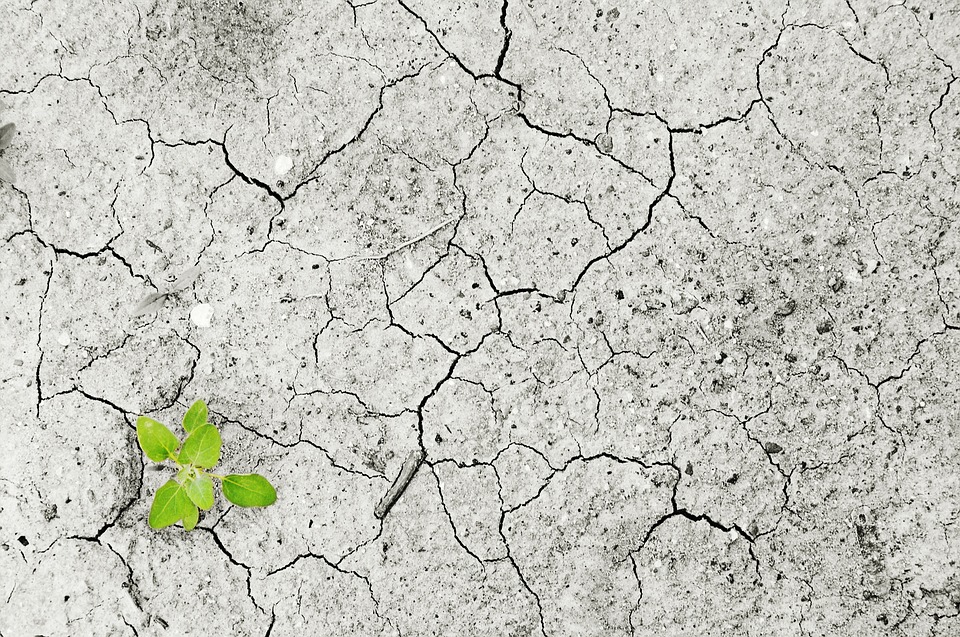 Climate change-Drought/Pixabay