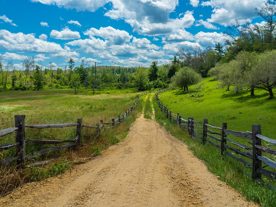 Field in England/Pixabay