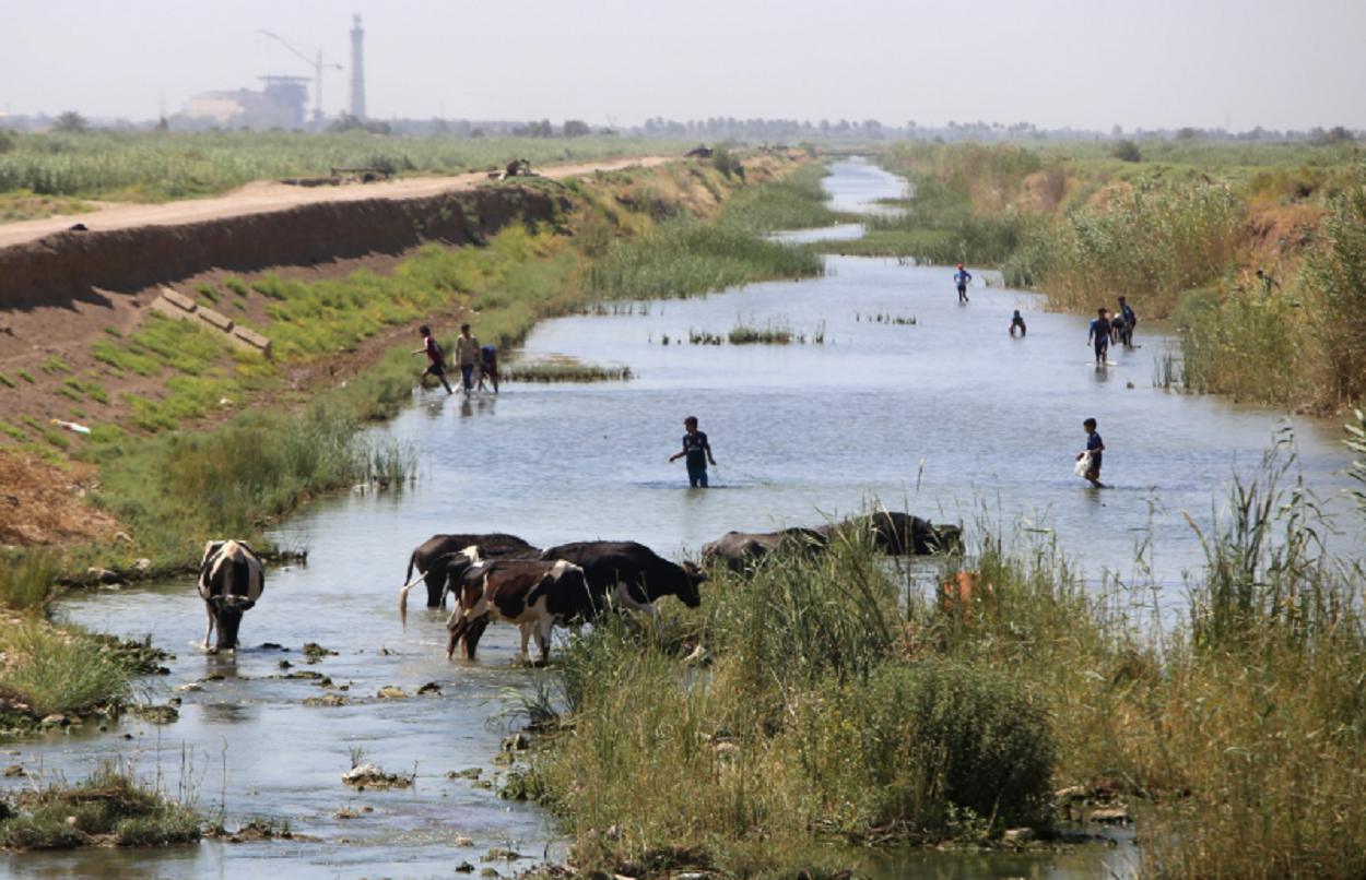 الجفاف يضرب العراق/ أرشيفية