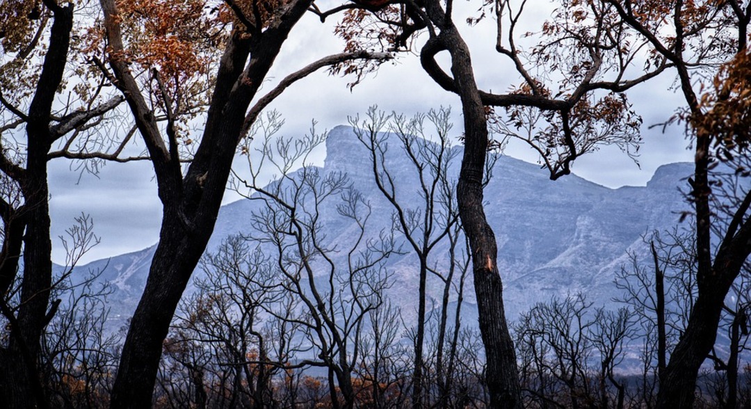 Western Australian officials warn of forecast 'extreme to catastrophic fire conditions'