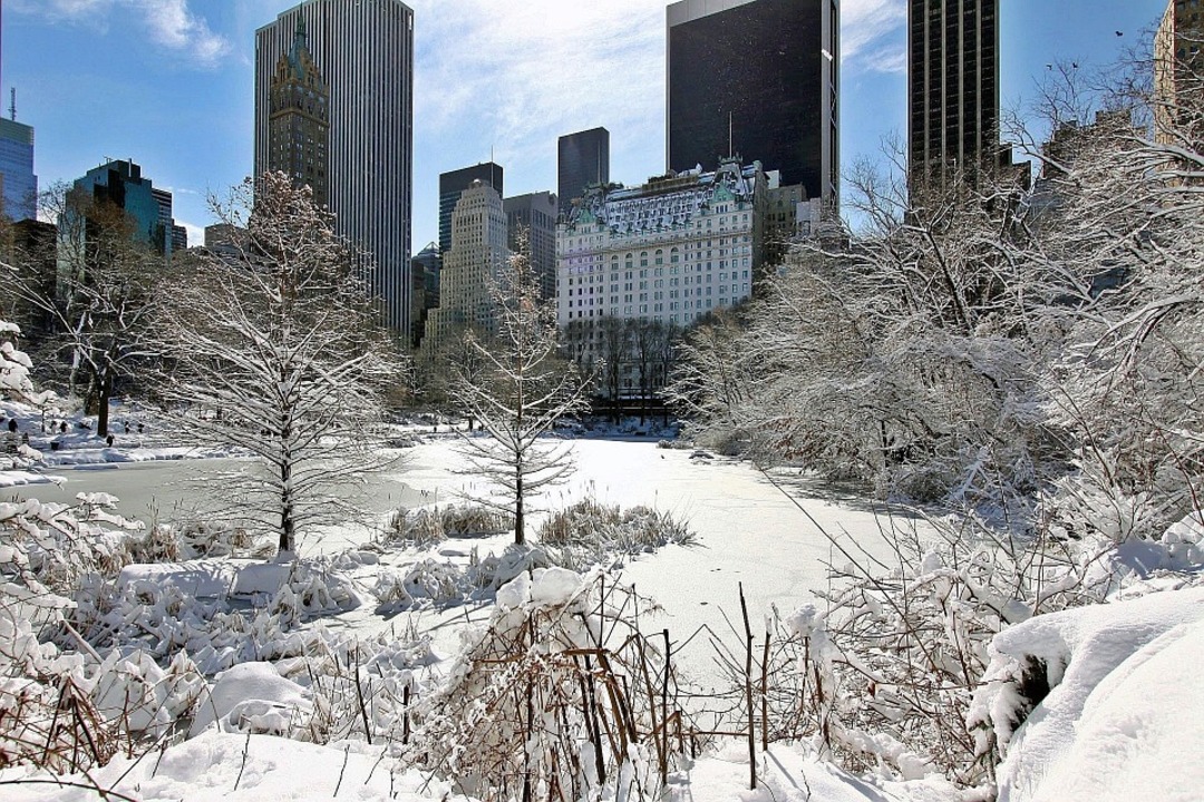 Snow blankets New York City with hundreds of flights canceled