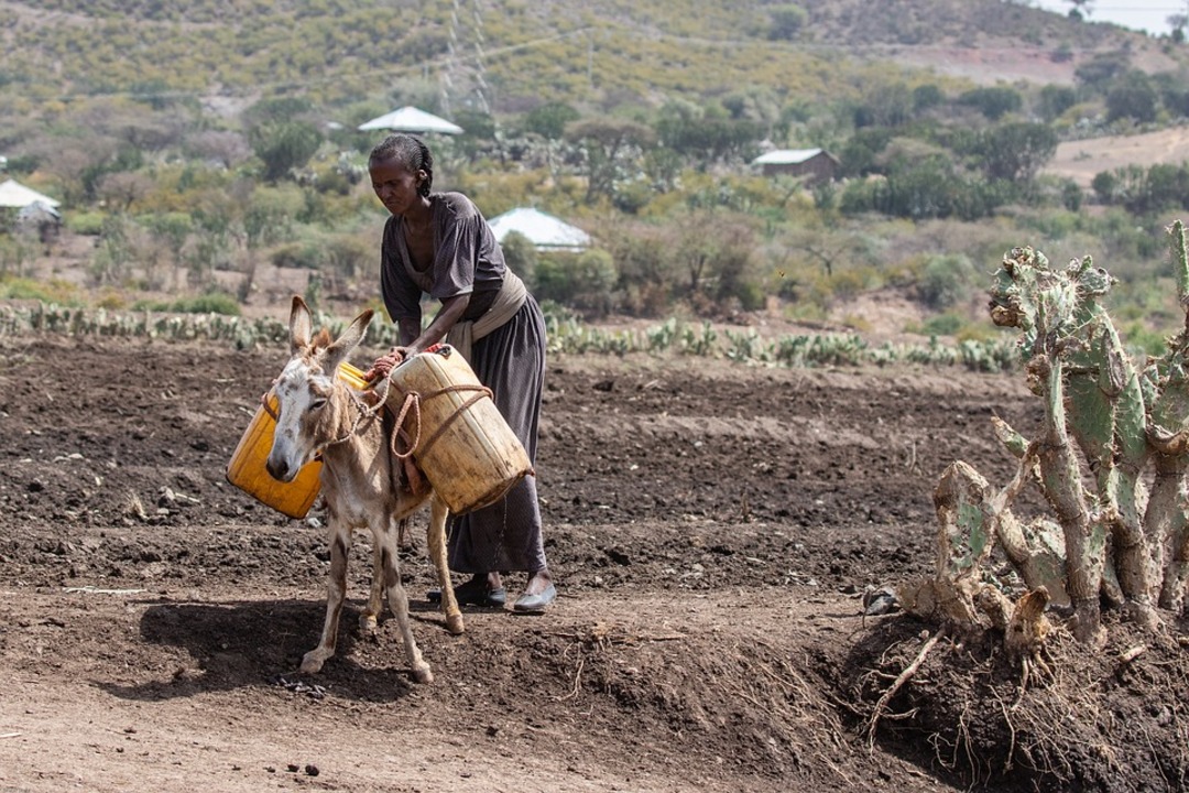 Living conditions in Ethiopia/Pixabay