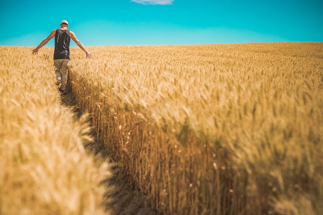 Egypt counts on 'strategic relations with France' to secure wheat supplies amid Ukrainian crisis