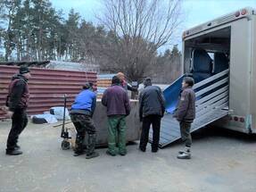 Lions, tigers and bears rescued from Kyiv animal shelter amid Russian invasion