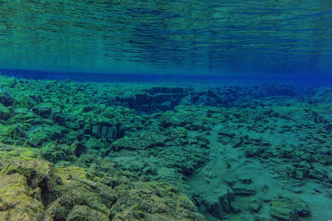 New island emerges after volcanic eruption in Pacific Ocean