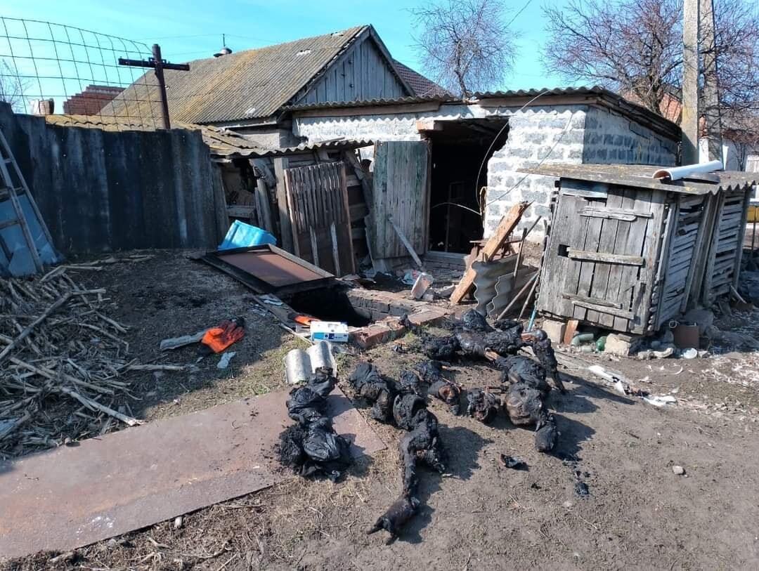 Several incinerated bodies of civilians, including that of one child, were found in the cellar of a house in Husarovka village (Kharkiv Oblasr) after it was liberated from Russian occupation. The Russians did this deliberately, as no houses burned (File photo: Euromaidan Press via Sergei Loiko)