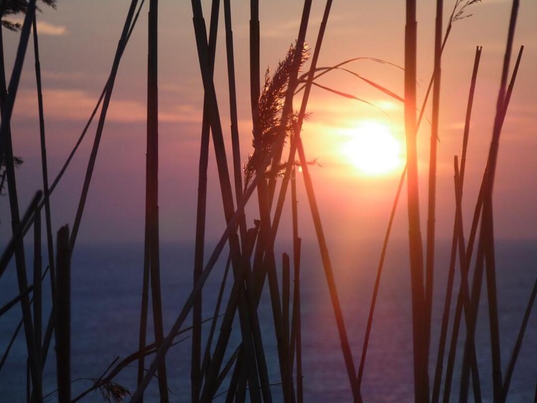 Japan warnes of power crisis as temperatures soar across country