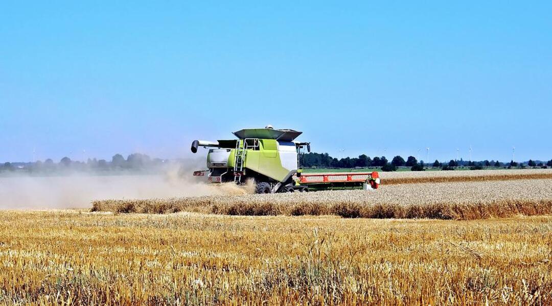 Kremlin says sanctions must be lifted for Russian grain to reach markets