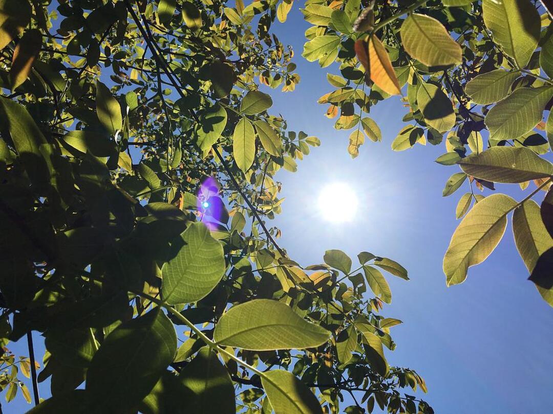 UK will hold emergency response meeting ahead of record temperatures