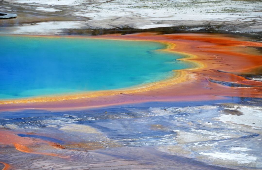 Part of a human foot, inside a shoe, found in Yellowstone hot spring