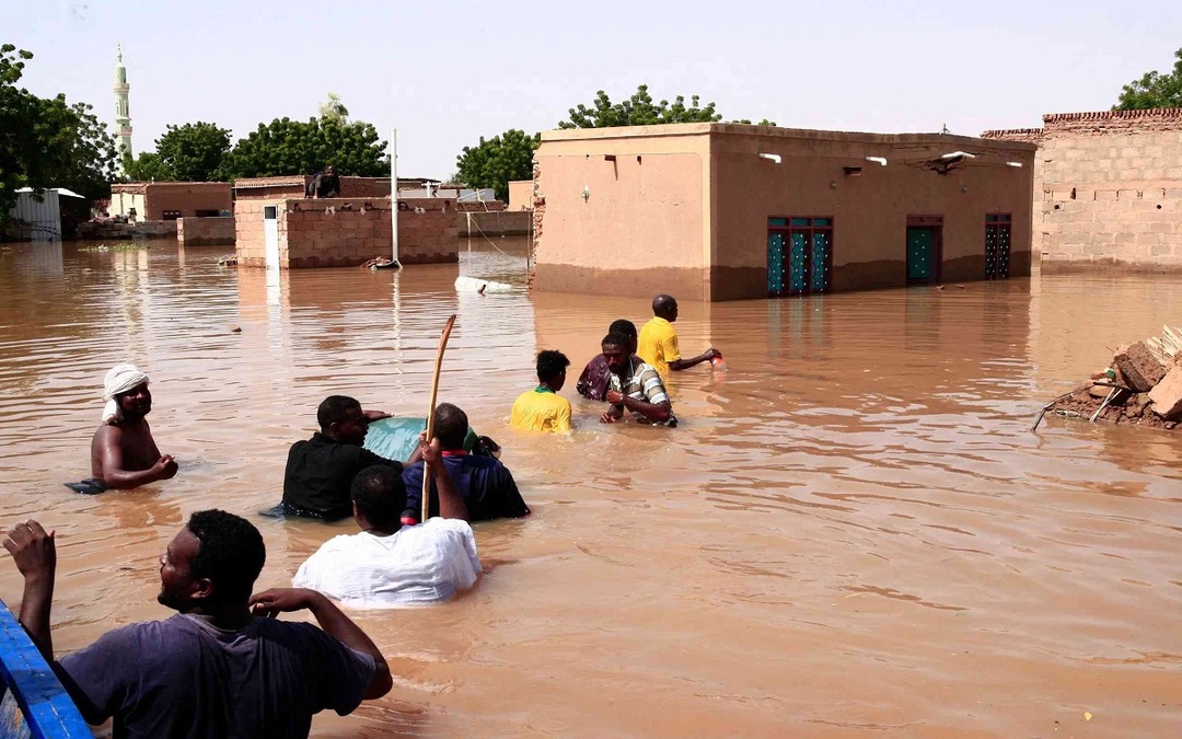 السيسي يوجّه بتسيير 