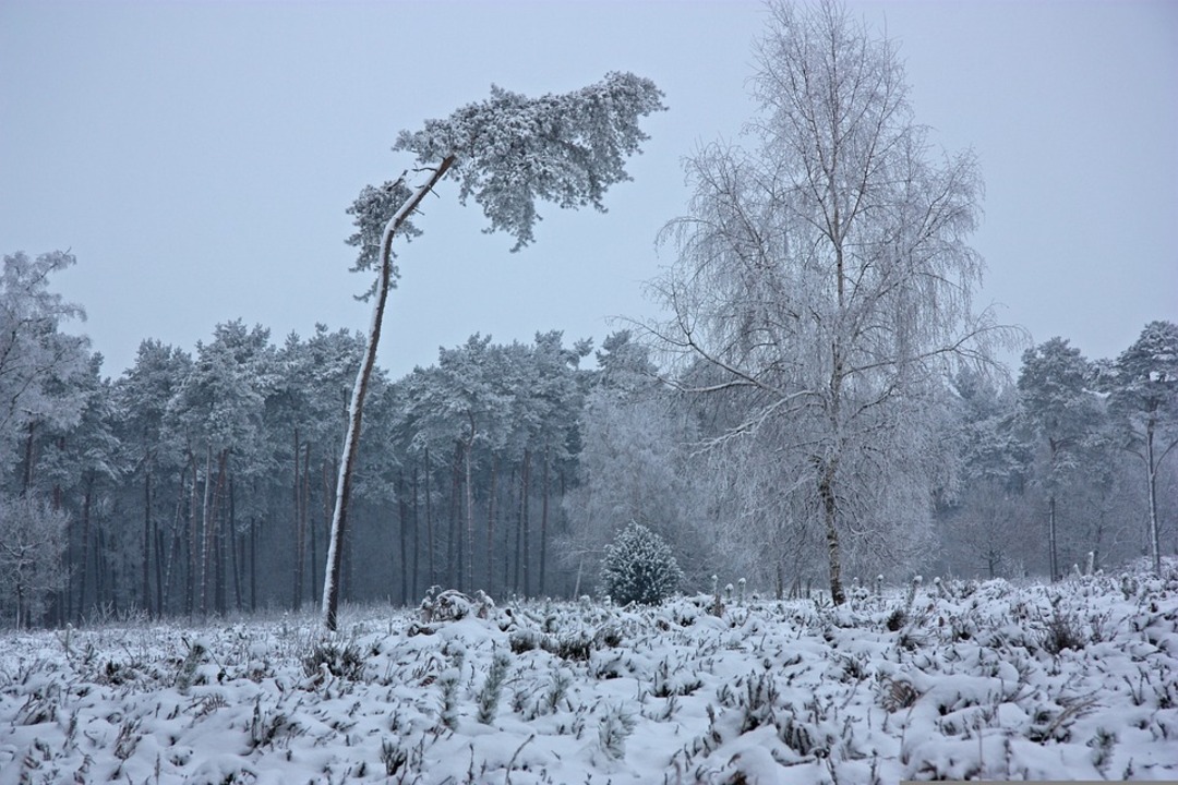 French may face power cuts if winter is harsh, warns head of energy regulator