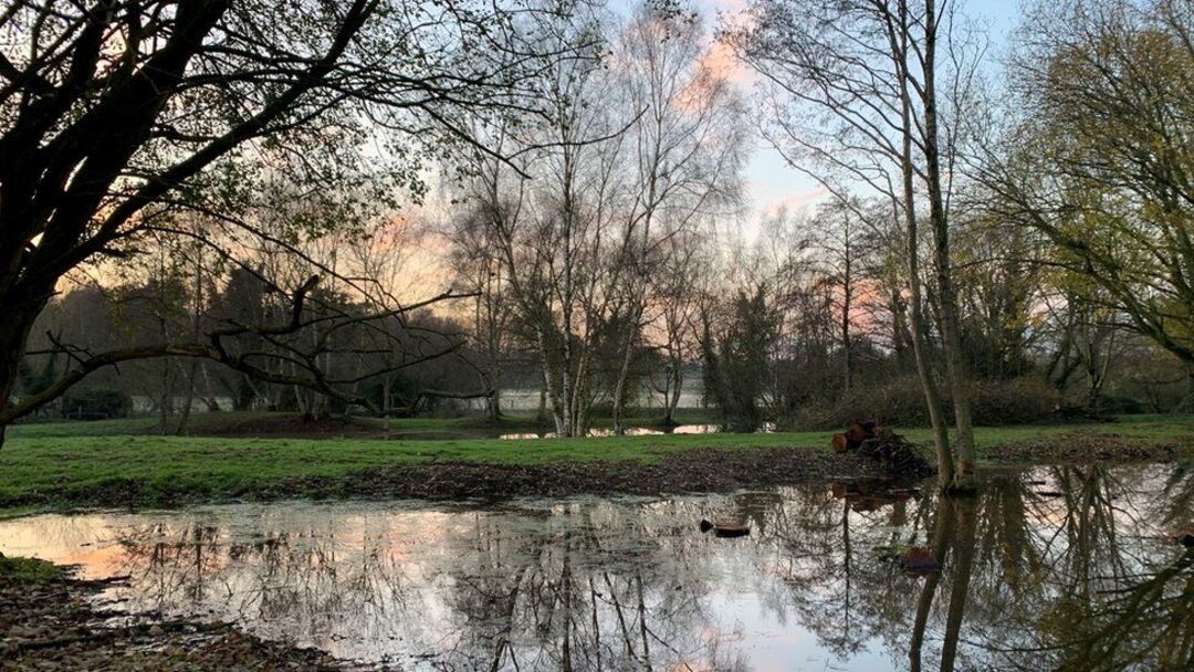 Five major nature recovery projects announced across England