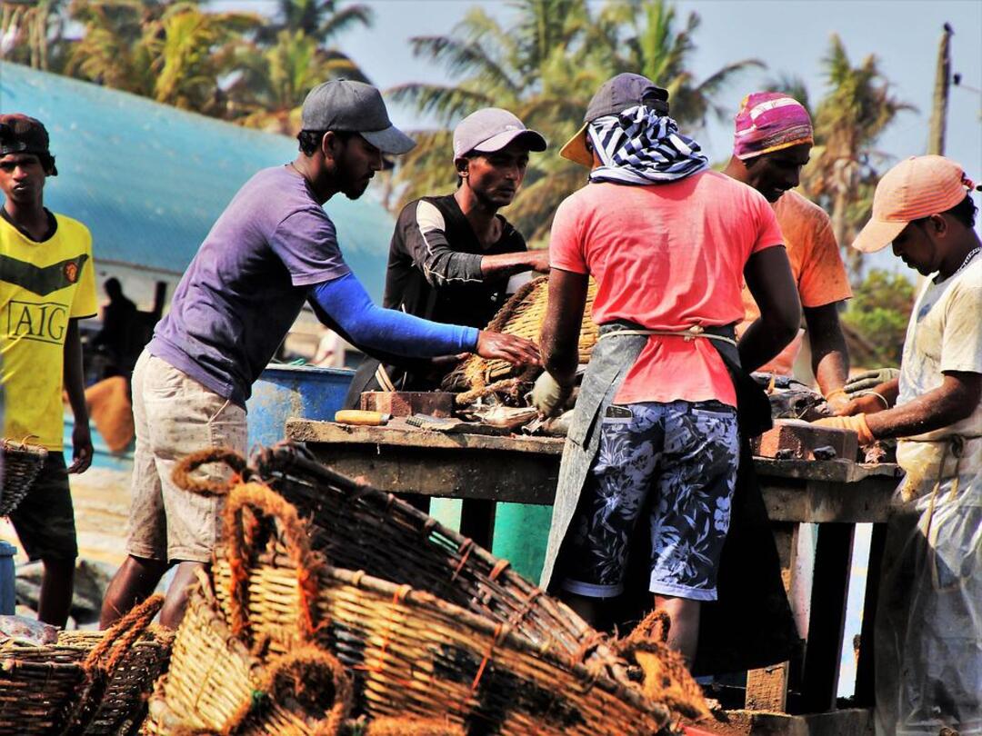 Food, climate change, Ukraine in focus at UN General Assembly