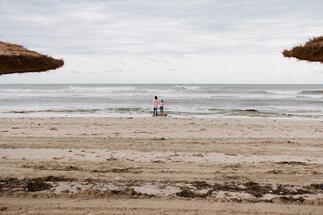 Tunisian scientists warn of degradation of Posidonia, the lungs of the Mediterranean Sea