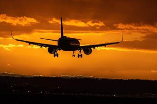 Nigerian airlines to halt domestic flights over jet fuel hikes