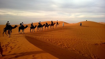 Dubai hosts first licensed school in UAE offering camel riding classes