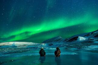 Polar bear killed after injuring woman at Arctic Svalbard campsite