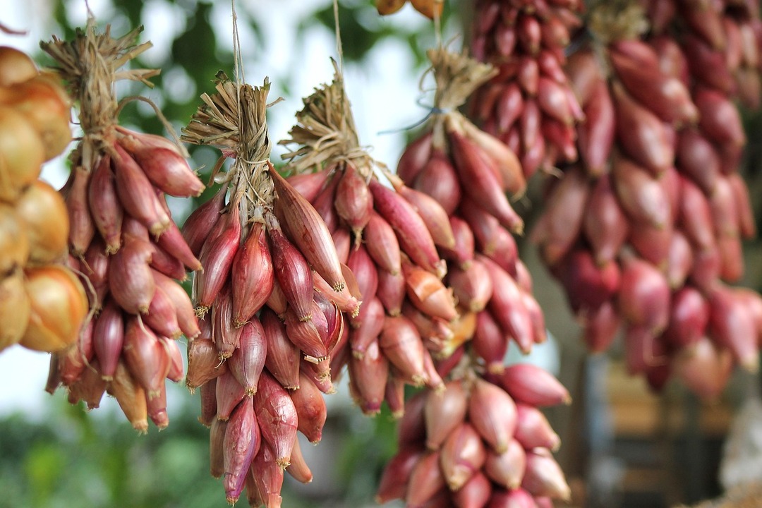 الكبريت في البصل: سر قوة ومرونة الشعر